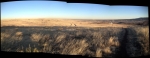 Panorama (NE,East,SE) at top of Homerun trail on S. Table Mesa, Golden, CO